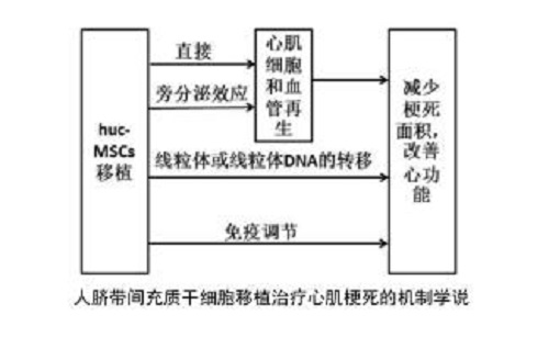 图片9